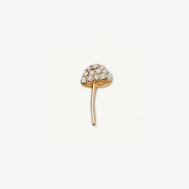champignon