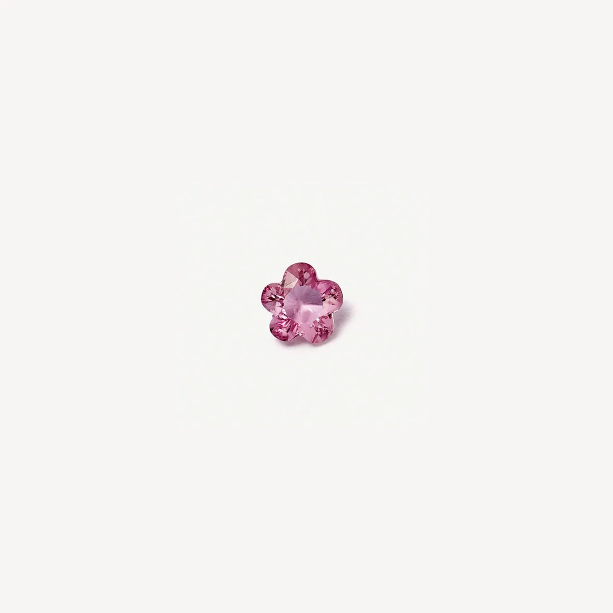 fleur rose