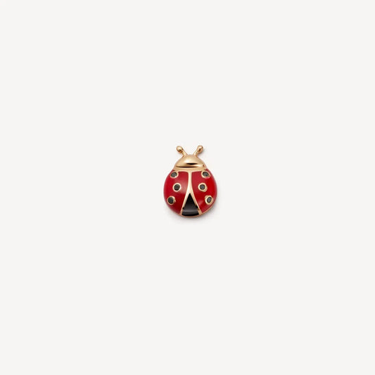 coccinelle