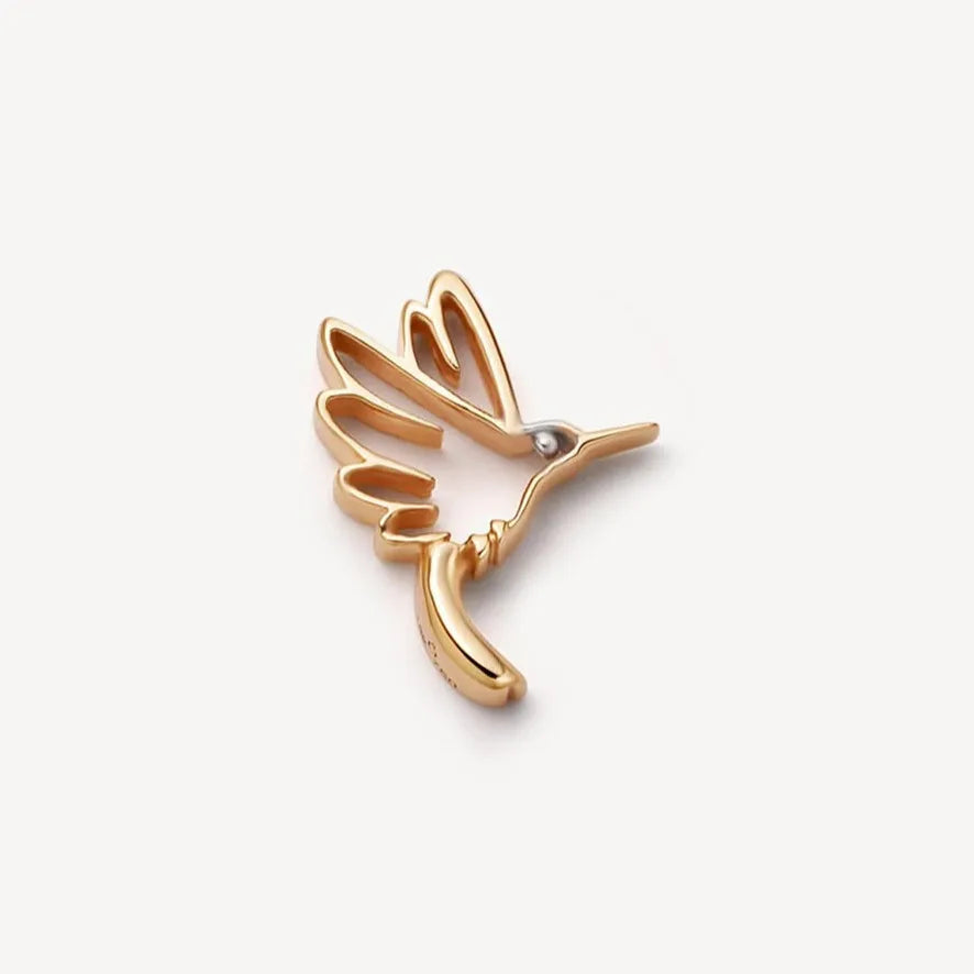 colibri
