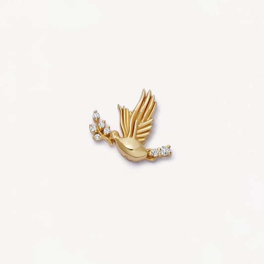 colombe