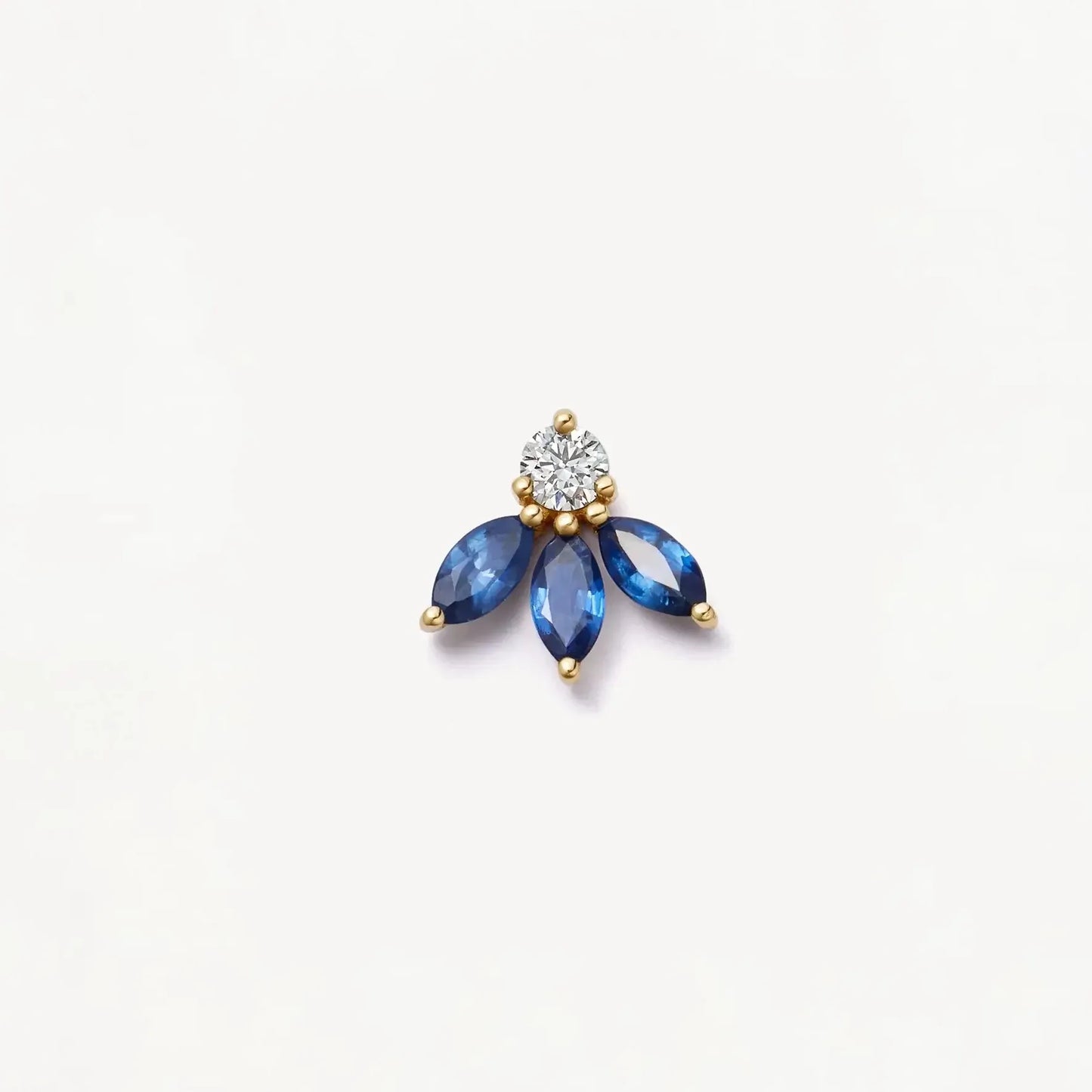 fleur bleue