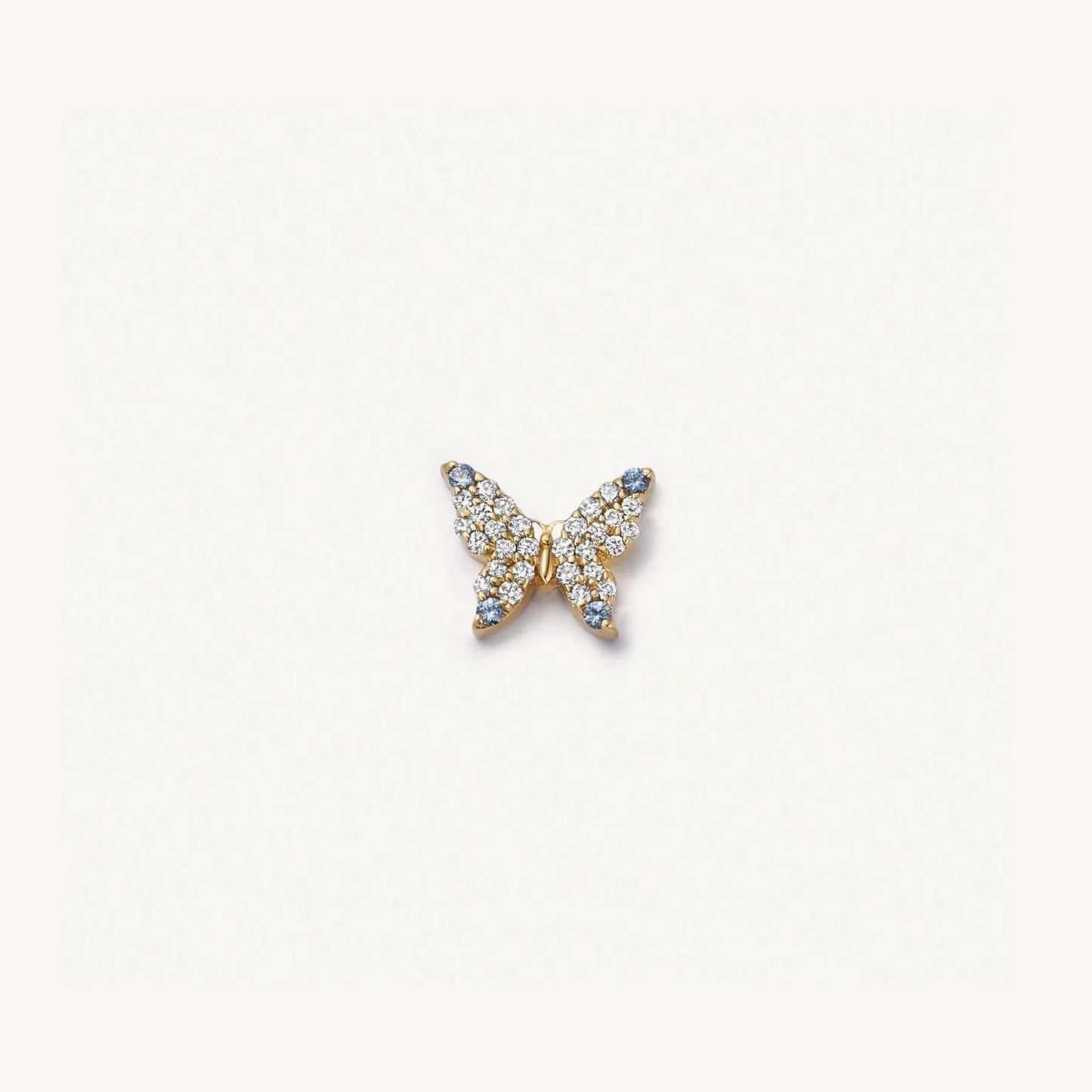 papillon