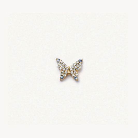 papillon