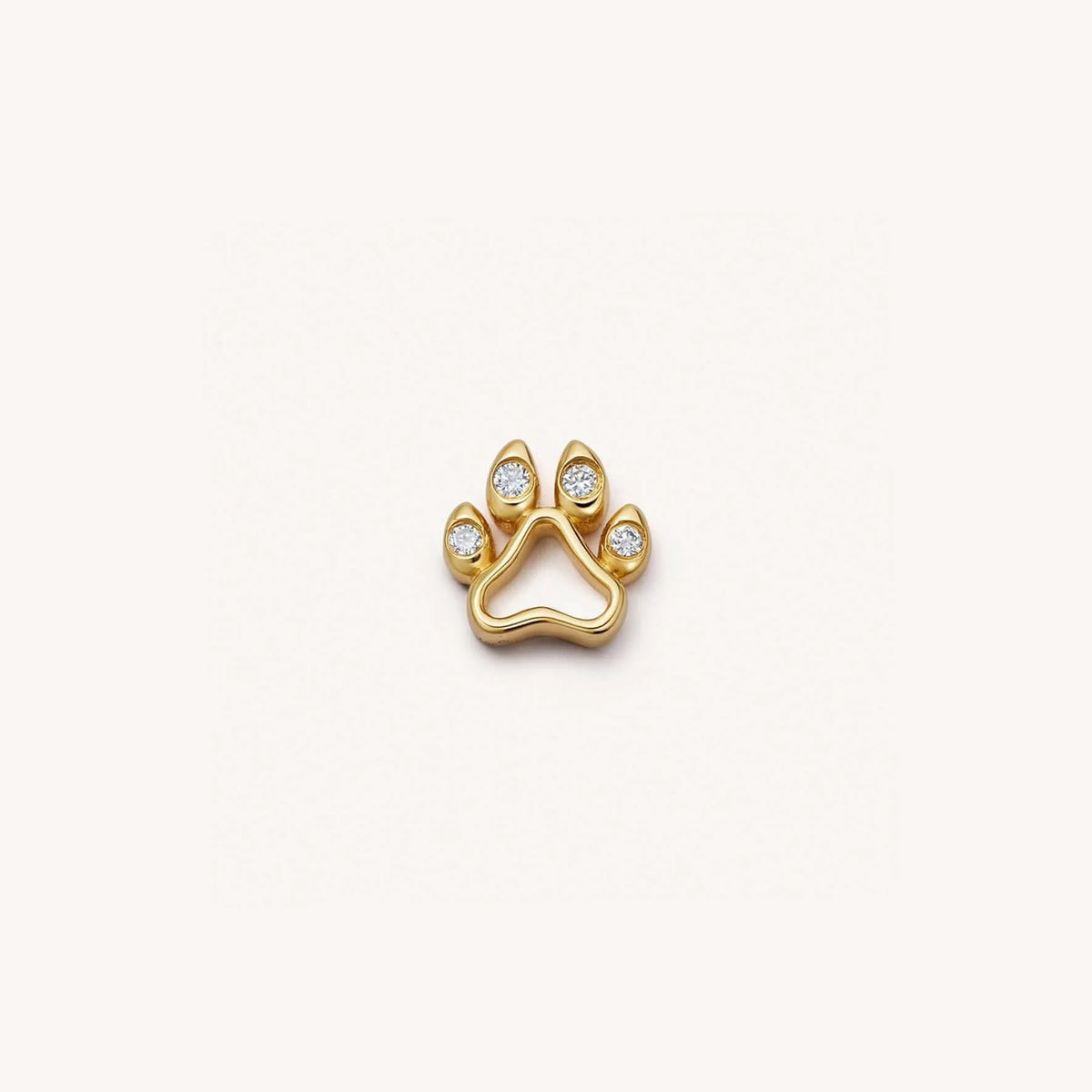 patte de chien