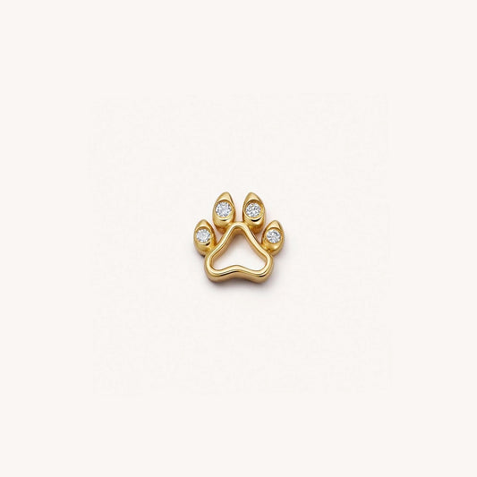 patte de chien