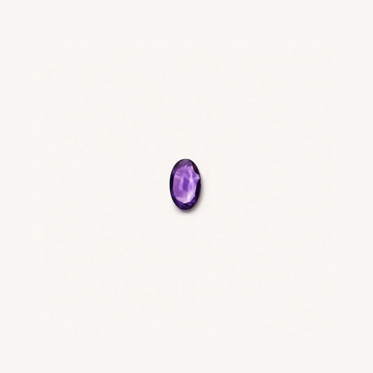 Charm Pierre de Naissance Février — Pierre Violet Foncé
